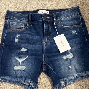 Cello jean shorts